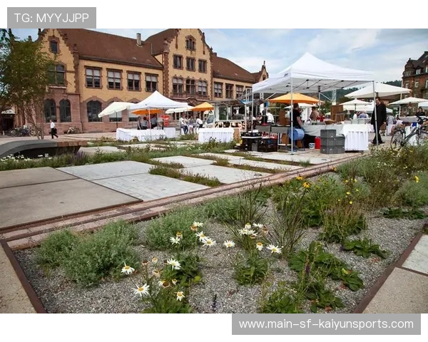 弗莱堡迎来试金战,多特不能松懈,弗莱堡市 弗莱堡迎来试金战,多特不能松懈,弗莱堡市