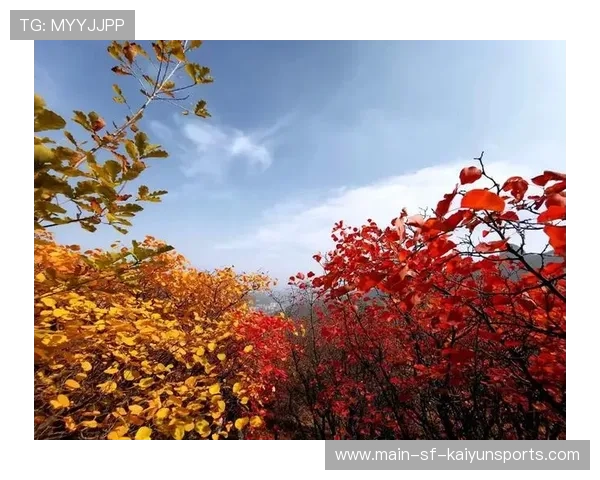 世界登山青年导师生态修复项目第六批结项名单公布，世界登山大师